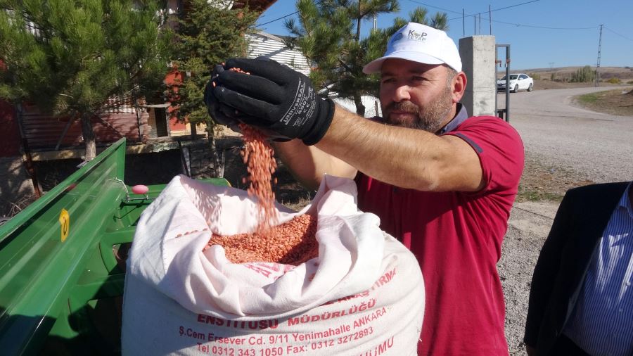 Yozgat’ta 3 milyon 500 bin dekar alana buğday ve arpa ekimi yapılacak