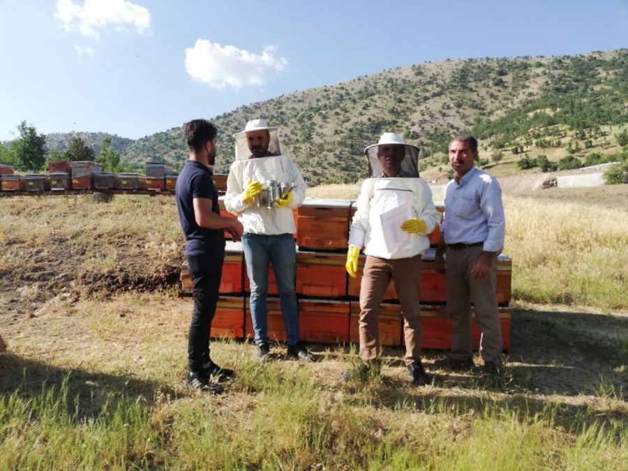 Şırnak’ta uzman eller projesi tamamland