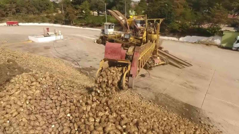 Amasya Şeker’den çiftçilere çağrı: “Dilediğiniz kadar pancar ekin