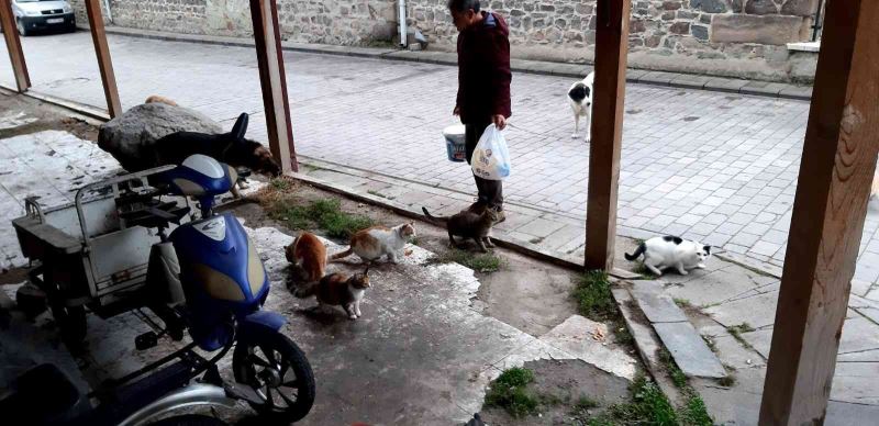 Lokantalarda artan yemekleri hayvanlar için topluyor
