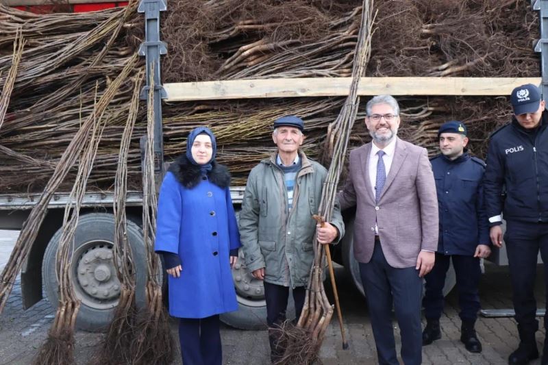 Gölpazarı’nda 13 bin 800 fidan toprakla buluşuyor
