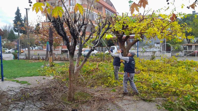 Burhaniye merkezde parklar yenileniyor
