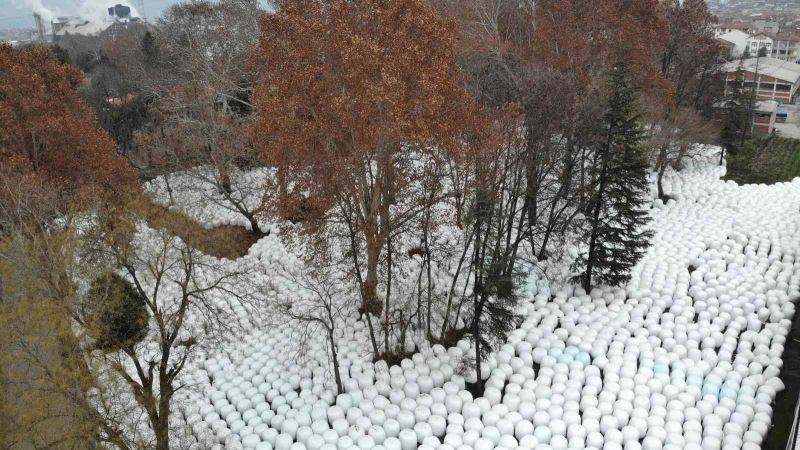 Binlercesi havadan görüntülendi, görenleri şaşırtan manzara
