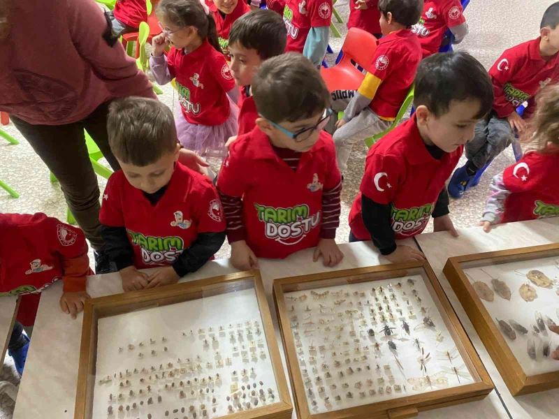 Öğrenciler böcek korkularını yendi
