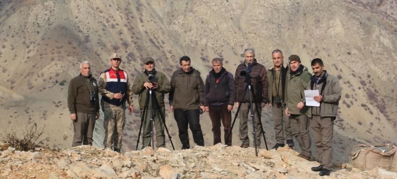 Elazığ’da yaban keçisi envanter çalışması yapıldı
