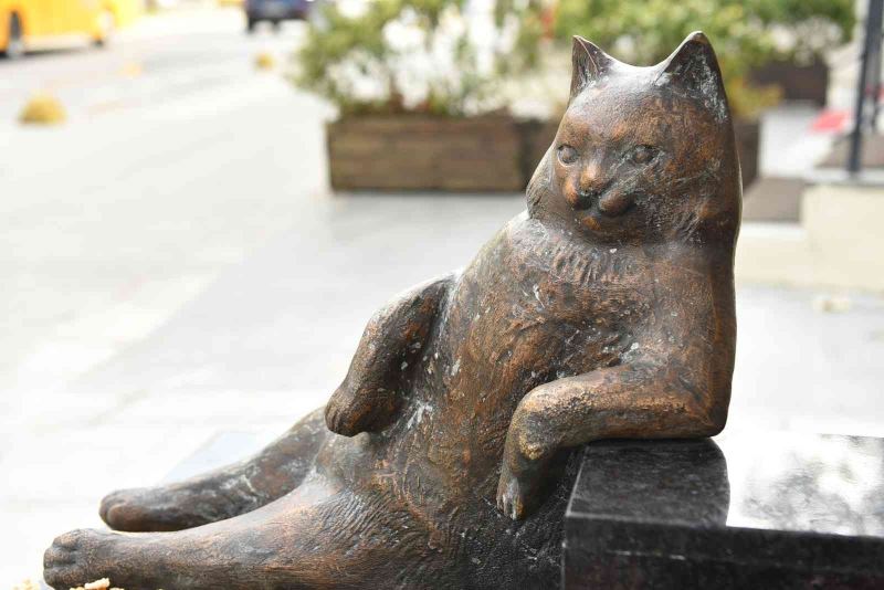 Kadıköy’ün kedisi Tombili yuvasına döndü
