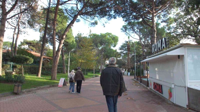 Balıkesir Ören Sahili’nde kuruyan ağaçlar tedirgin etti
