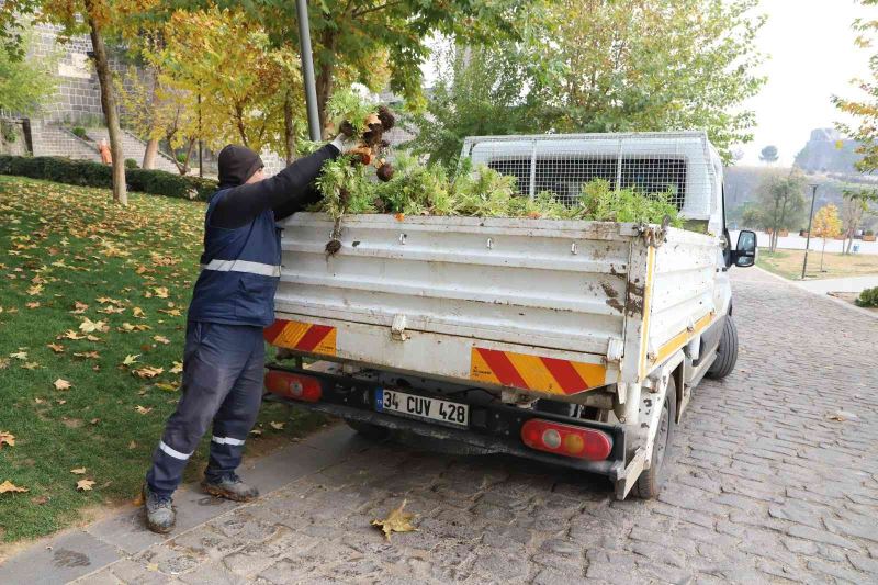 Kavşak ve refüjler 200 bin lale ile süslenecek
