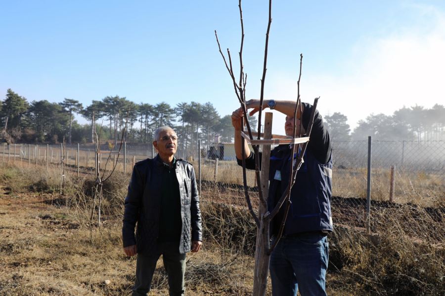 Büyükşehir’den yüzde 50 hibe alarak ceviz tarlası oluşturdu