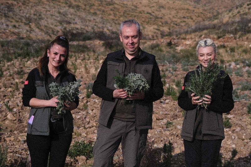 Gerence’den yanık kokusu yerine adaçayı ve kekik kokuları geliyor
