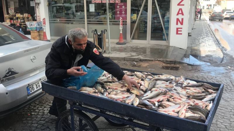 Çoruh Balığı tezgahta yerini aldı
