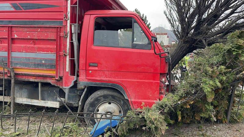 Canlı hayvan taşıyan kamyonet ağaca çarptı, 2 kişi yaralandı
