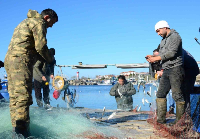 Karadeniz’in incisi çinekop, yeni yılın ilk ayında yüzleri güldürdü
