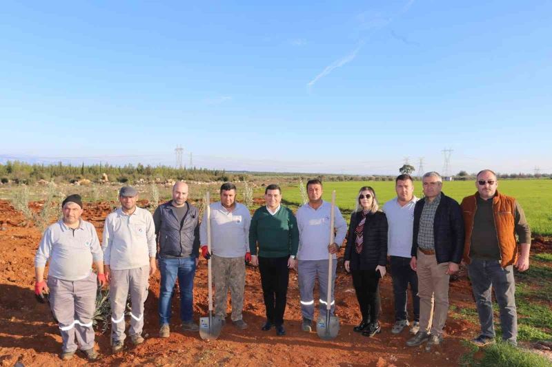 Zeytin Çiftliğinden elde edilecek gelirin tamamı 35 bin öğrenciye burs olacak
