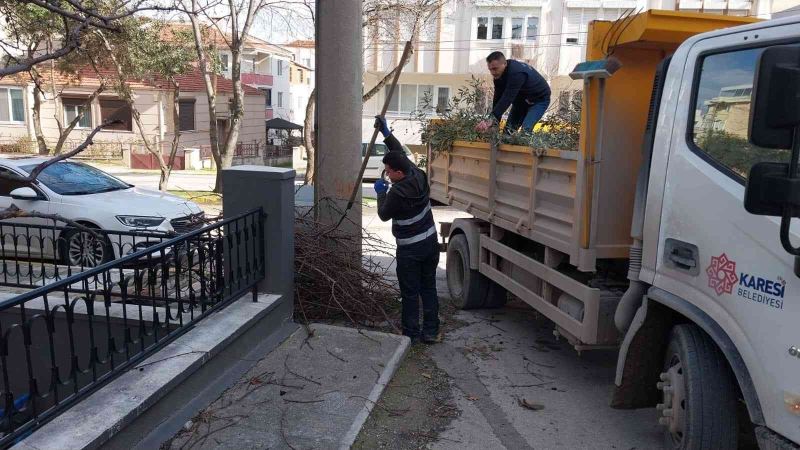 Karesi Belediyesi’nden ağaçlara kış bakımı
