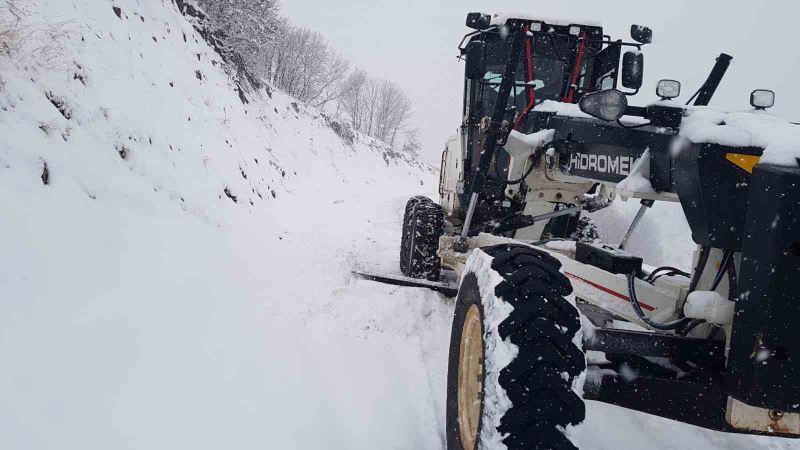 Bingöl’de 138 köy yolu ulaşıma kapandı
