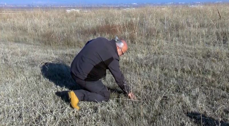 Muş’ta kuraklık endişesi
