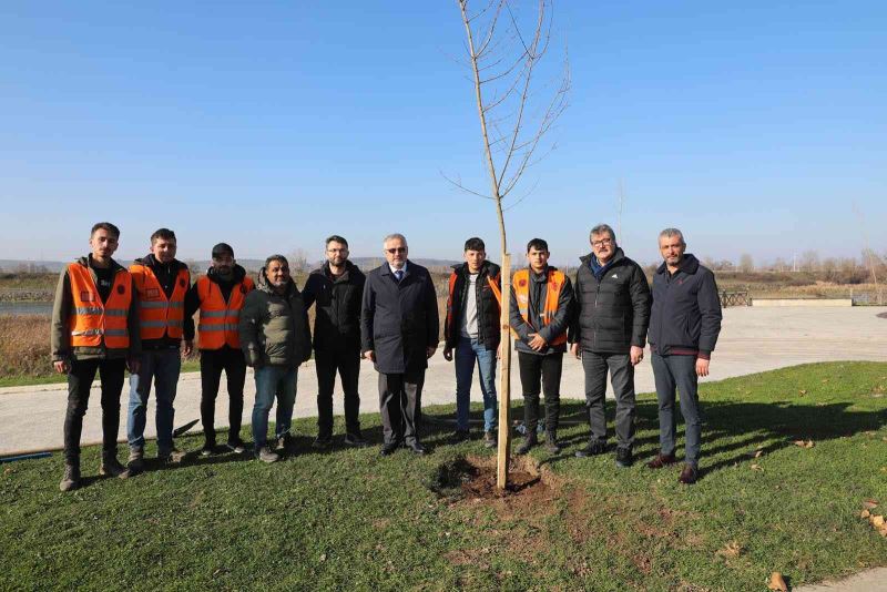 Bafra’da kökler toprakla buluşuyor
