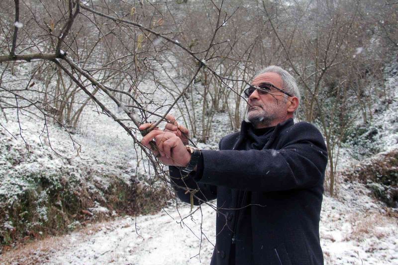 Yağan kar fındık üreticilerini sevindirdi
