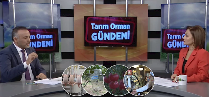 GIDA VE KONTROL GENEL MÜDÜRÜ DR. ERSİN DİLBER TARIM ORMAN GÜNDEMİ PROGRAMINA CANLI YAYIN KONUĞU OLARAK KATILDI