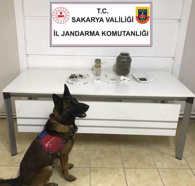 Jandarma uyuşturucuya geçit vermiyor: 2 gözaltı
