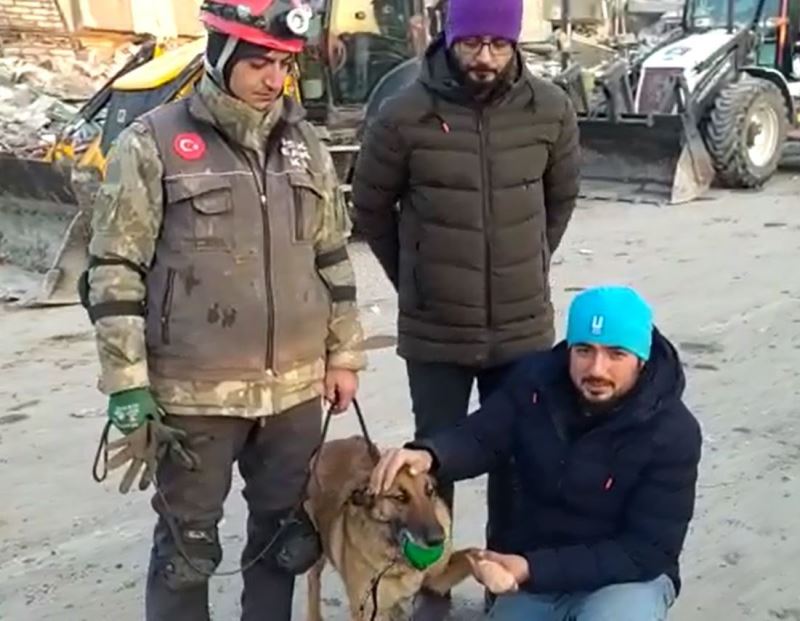 Hayat kurtarırken yaralanan hassas burun ’Sıla’ tekrar görev başında
