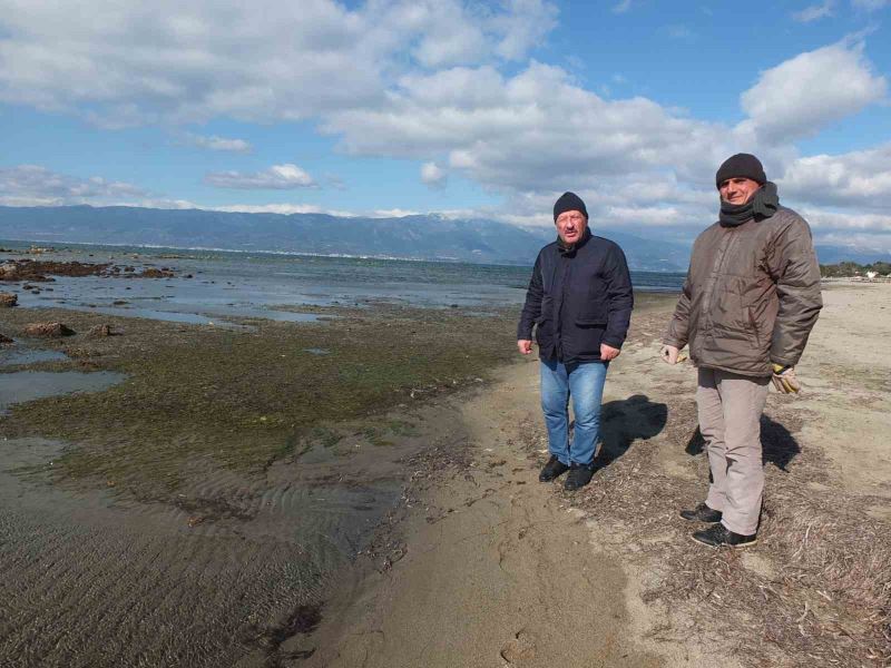 Balıkesir’de deniz çekildi, 2 bin 500 yıllık antik liman ortaya çıktı
