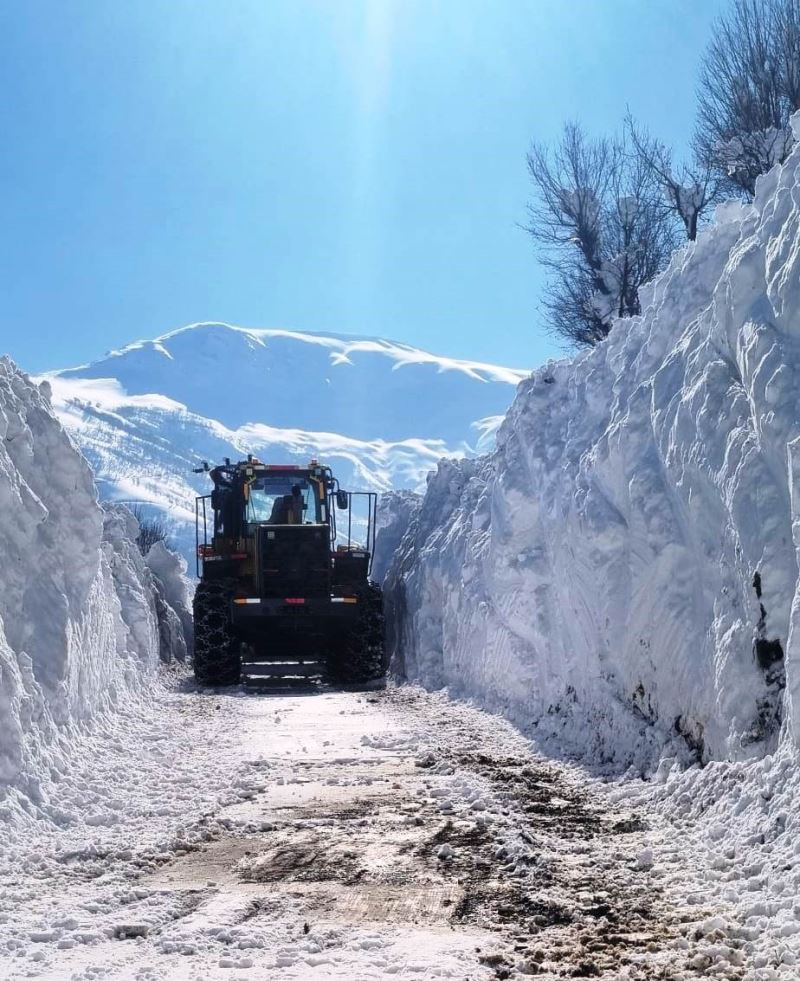 Bitlis’te karla mücadele çalışmaları
