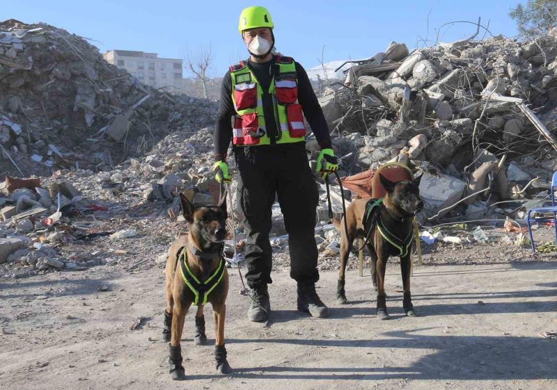 Kahraman köpekler: Asko ve Pia, 5 günde 10 kişiye ulaştı
