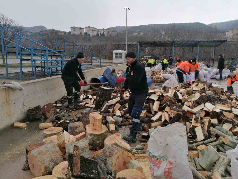 Park ve Bahçeler Müdürlüğü ekiplerinin depremzedeler için odun seferberliği
