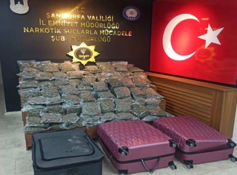 Şanlıurfa’da 59 kilo 650 gram skunk ele geçirildi: 5 gözaltı
