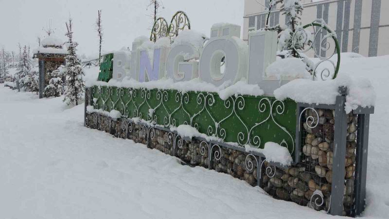 Bingöl’de kar kalınlığı 40 santime ulaştı: 283 köy yolu kapandı
