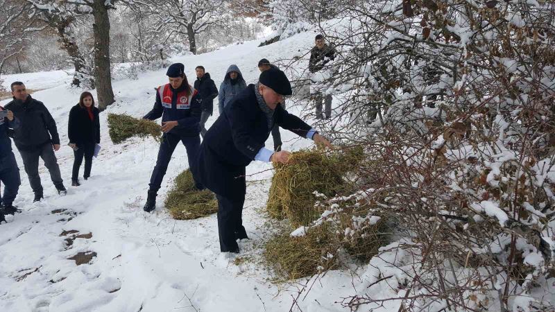 Yaban hayvanları unutulmadı
