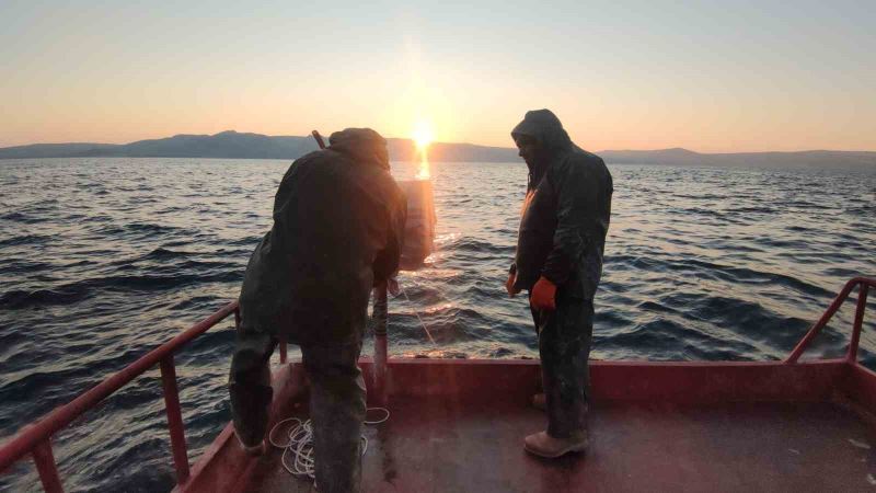 Van Gölü’nün mavi sularında ekmek mücadelesi
