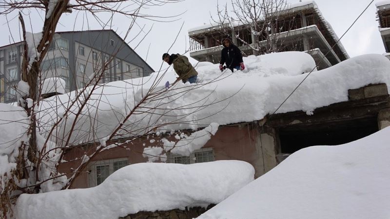 Bitlis’te tek katlı evler kara gömüldü
