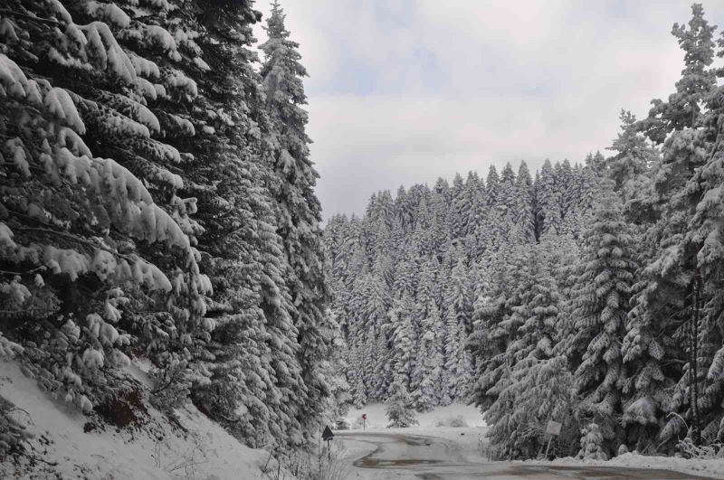 Bolu’da kartpostallık kış manzarası
