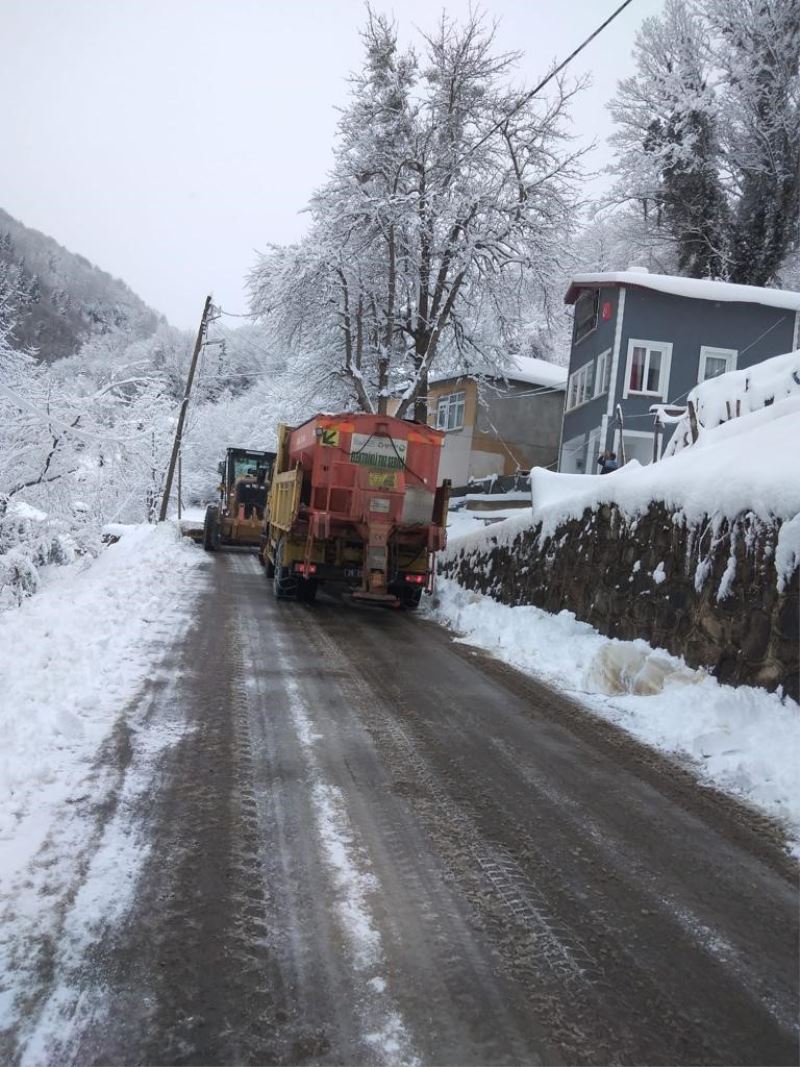 Giresun’da karla mücadele çalışması başlatıldı
