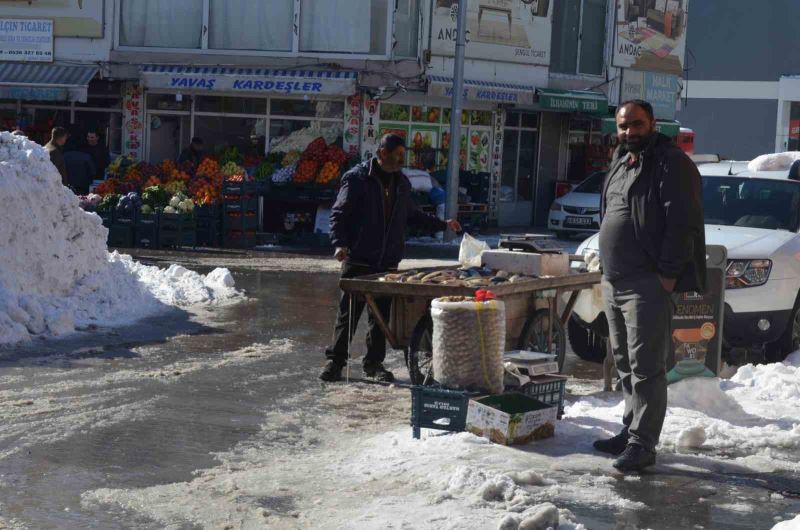 Murat Nehri’nde balık bolluğu
