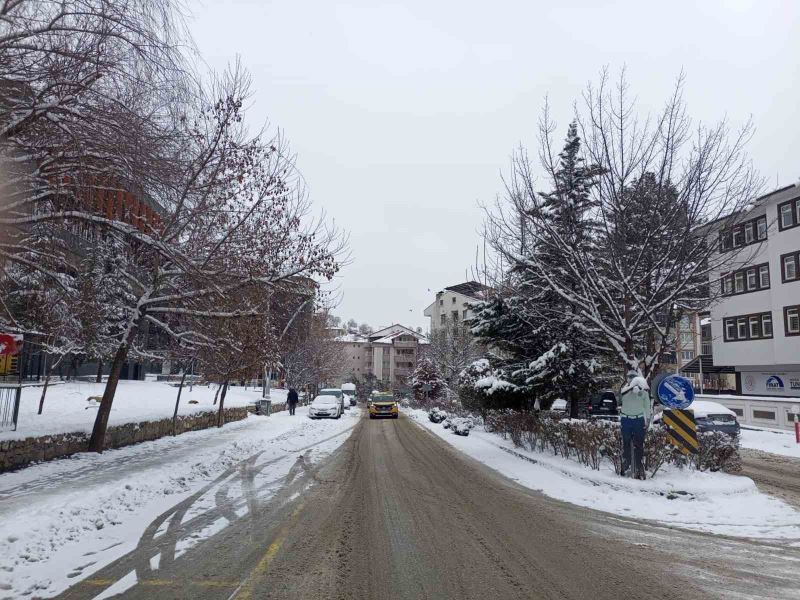 Tunceli’de eğitim öğretime bir gün ara verildi
