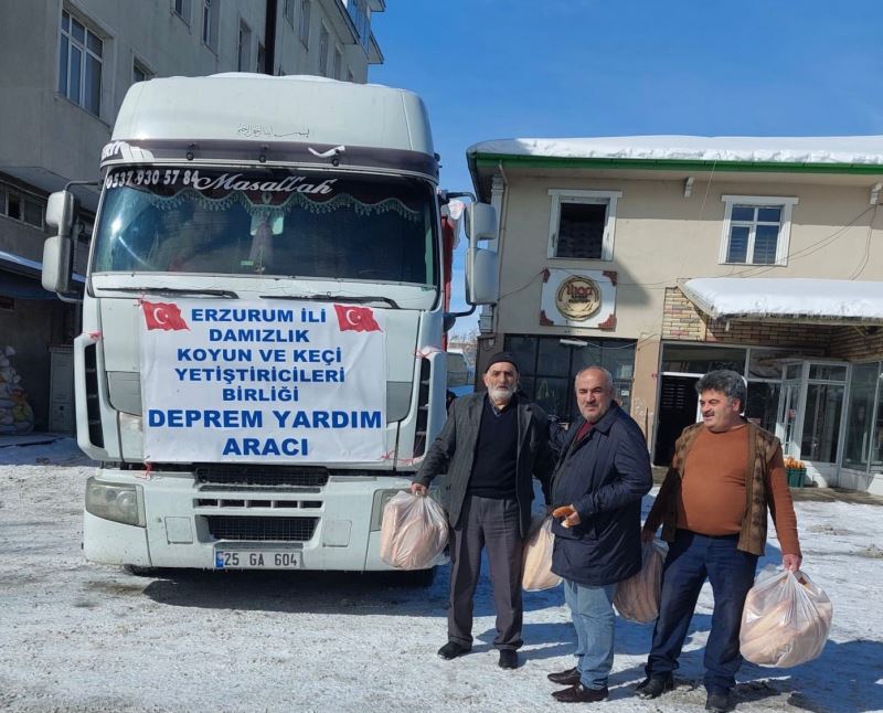 Damızlık koyun yetiştiricileri birliğinden deprem bölgesine yardım
