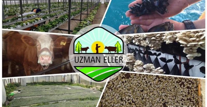 UZMAN ELLER PROJELERİ İÇİN BAŞVURULAR BAŞLADI