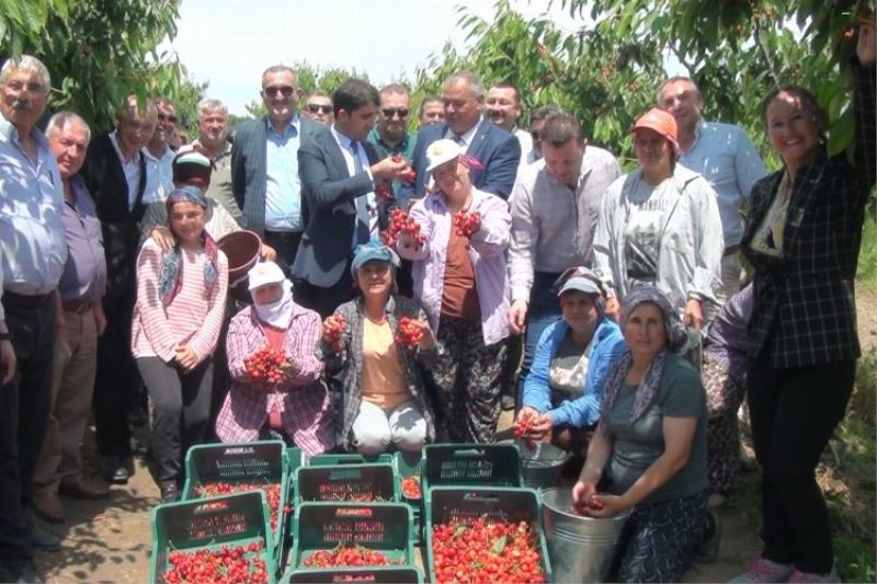 Çeribaşı Kiraz Hasadı Şenliği yapıldı