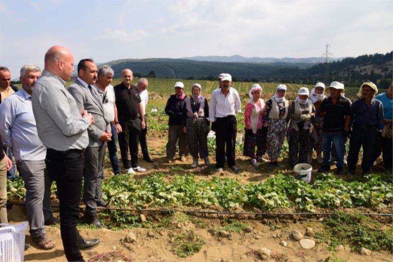 Tarım işçisinin koruyucu ekipmanları Manisa