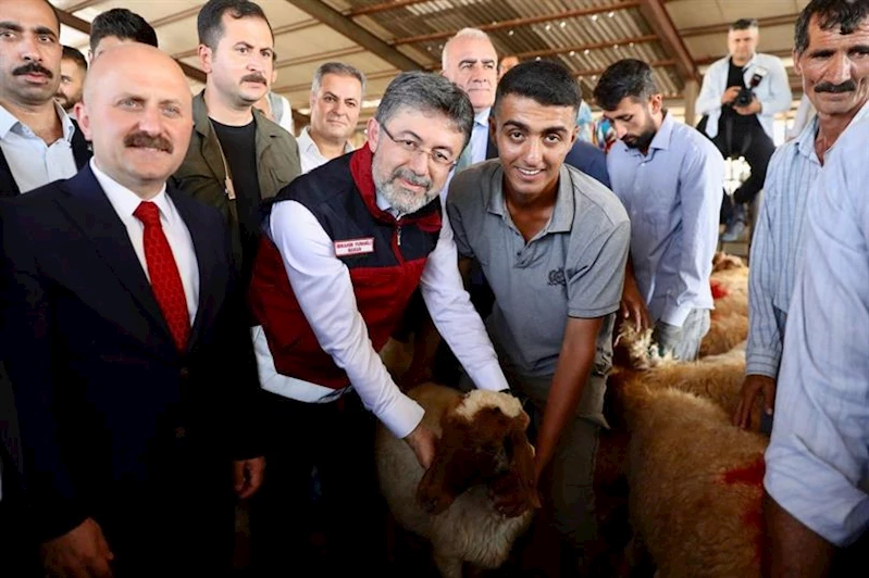 TARIM VE ORMAN BAKANLIĞI, DEPREMDEN ETKİLENEN İLLERDE KÜÇÜKBAŞ, KANATLI HAYVAN VE ARILI KOVAN DAĞITIMLARINI TAMAMLADI