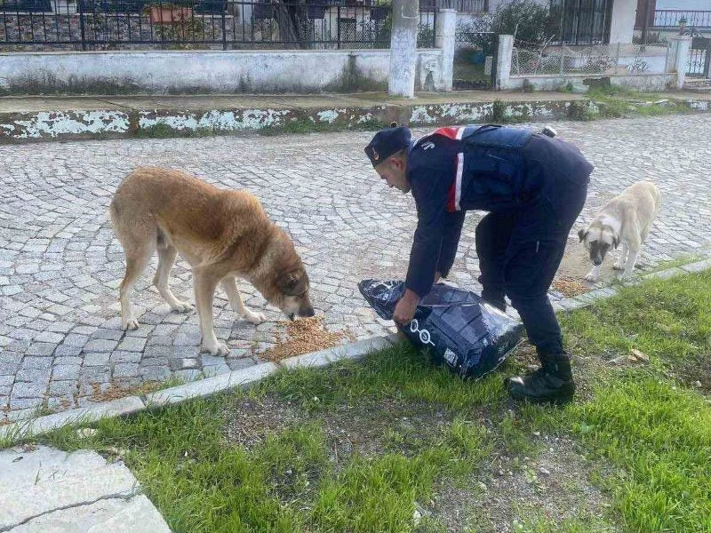 Jandarma Sokak Hayvanlarının Yanında